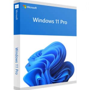 Microsoft Windows 11 Professional 64 bit